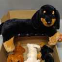 Honoson Nurturing Dog Mommy Plush Set with 4 Baby Puppies Soft Cute Dog Themed Stuffed Plush Toys for Kids Girls Boys Easter Birthday Gifts(Dachshund)