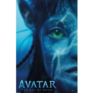 Posters 2 pcs Avatar, 22.375" x 34 " in