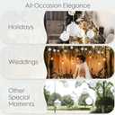 Sea Team Christmas Baubles Set Clear Plastic Shatterproof Multi-Size Decorative Christmas Baubles with Stuffed Delicate Decorations (25 Pieces, White)