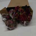 Tigeen Artificial Flowers Artificial Peonies Silk Flowers Faux Peony Fake Peony Silk Hydrangea Bouquet for Wedding Table Centerpiece Floral Vase Decor(Claret,12 Bundles)