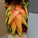 Hotop 12 Pcs Artificial Tropical Bouquet Artificial Tropical Flowers Centerpieces for Tables Bromeliad Monstera Palm Leaves and Heliconia for Hawaiian Party Birthday Wedding Table Decor