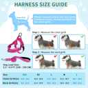 SlowTon No Pull Small Dog Harness and Leash Set, Puppy Soft Vest Harness Neck & Chest Adjustable, Reflective Lightweight Harness & Anti-Twist Pet Lead Combo for Small Medium Dogs (Fuchsia, XXS)