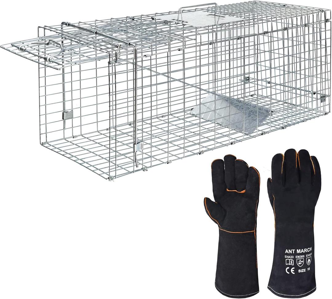 ANT MARCH Live Animal Cage Trap 32''x11.5"x13" Steel Humane Release Rodent Cage with Gloves for Rabbits, Stray Cat, Squirrel, Raccoon, Mole, Gopher, Chicken, Opossum, Skunk, Chipmunks, Groundhog