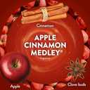 Air Wick Scented Oils 0+10 Apple Cinnamon Medley