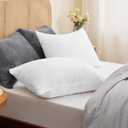 BEDELITE Flannel Pillowcases Standard Set of 2, Super Soft Fleece Pillow Case Cover with Zipper for Bedroom, Sofa, Couch,Luxury Cozy Velvet Pillow Shams for All Seasons(20x26 Inches, Bright White)