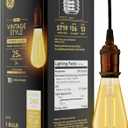 GE Vintage Style LED Light Bulb, 25 Watt, Amber Finish, ST19 Edison Style Bulb (1 Pack)