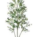 Olive Tree, 6FT Tall Faux Olive Tree with Lights, Moss and Planter, Olive Trees Artificial Indoor with Realistic Wood Trunk and Lifelike Fruits, Fake Olive Tree for Home Office Living Room Decor