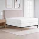 All-in-One Mattress Protector, Zippered Encasement, Water & Stain Resistant, Triple Seal Protection, Queen, White