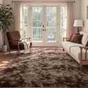 5x7 Ft Shag Brown Area Rug for Bedroom Living Room, Tie-Dyed Ultra Soft Fluffy Furry Rugs for Indoor Floor, Aesthetic Carpet for Kids Home Decor (Coffee)