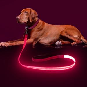 Colaseeme Light Up Dog Leash, LED Pet Leashes USB Rechargeable, Glow Safety Dogs Lights at Night (4FT,Pink)