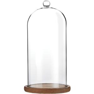 Farmlyn Creek Glass Cloche Dome Bell Jar Display Case with Wooden Base for Plants, Collectibles (5.1x10 in)