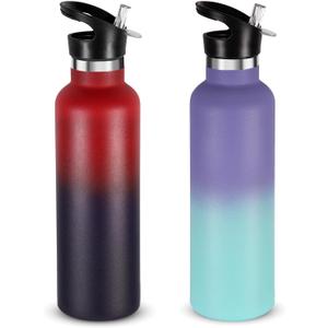 Neihepal 24oz Insulated Water Bottles Bulk 2 Pack,Stainless Steel Double Wall Sport Bottle with Straw Lid,Metal Reusable Thermoses Cup with Hand Cap for School, Cyclists, Hikers, Gift (Assorted, Set of 2)