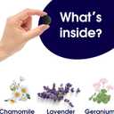 Calming Collar for Dogs - Natural Dog Anxiety Relief Collar, Dog Stress and Anxiety Relief, Reduces Stress & Unwanted Behaviors, 60-Day Effect, 13-20 Inch Adjustable & Waterproof