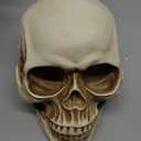 READAEER Life Size Resin Skull, Large Size Adult Skull Head Model for Home Decoration, Halloween Skull Statue, Human Skull Head Model (White)