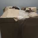 Madane 8x10 Area Rugs for Living Room, Machine Washable Vintage Natural Rug with Non-Slip Backing, Soft Large Throw Rug, Thin Carpet for Bedroom Dining Room Farmhouse (8 x 10, Beige/Brown)