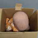 Aori Reborn Baby Doll Realistic Girl 20 inches - Soft Cloth Body and Vinyl Limbs, Lifelike Newborn Baby Dolls for Kids Imaginative Play, Emotional Comfort for The Elderly (Yellow Sunflower)