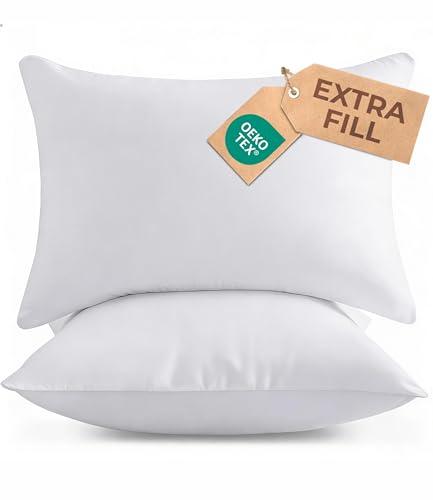Lumbar Pillow Insert 12x20 Set of 2 - Fluffy Down Alternative Fill - 10% More Fill Than Standard Loft - Plump Bounce-Back Support for Indoor & Outdoor Use - Hypoallergenic & Machine Washable - White