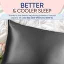 Blissy Silk Pillowcase - 100% Pure Mulberry Silk - 22 Momme 6A High-Grade Fibers - Silk Pillow Cover for Hair & Skin - Regular, Queen & King (Gray, Standard)