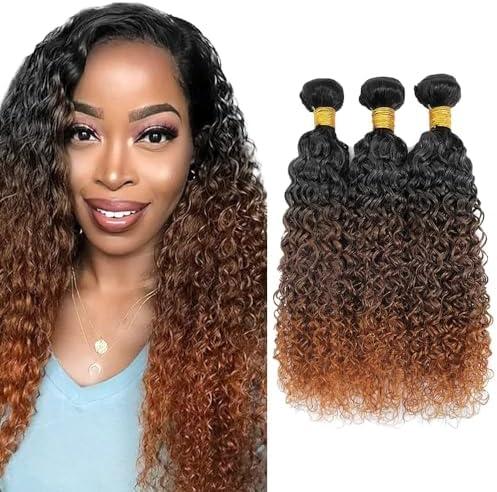 T1B430 Ombre Brown Bundles Human Hair 16 18 20 Inch Jerry Curly Wave Human Hair Bundles Human Hair Brown Bundle T1B/4/30 12A Unprocessed Brazilian Virgin Hair Quick Weave for Black Women
