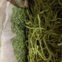 1 lb Bag Preserved & Dyed Chartreuse Spanish Moss (0905317175)