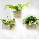 LaLaGreen Wall Planter (3 Pack, 6 Inch) Wall Mount Planters for Succulents Silver, Rectangular Metal Hanging Flower Pot, Window Box Fence Railing Minimalist Rustic Floating Shelf Shelve Indoor Outdoor (6" (15.2cm))