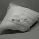 Pozino Flat Thin Pillows for Sleeping - 2 Pack Queen Size Slim Bed Pillows for Side Back Stomach Sleepers,2.5 inch Height Ultra Low Pillows,Down Alternative Filling