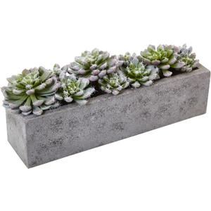 Nearly Natural Succulent Garden with Textured Concrete Planter