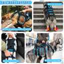 Dog Lift Harness for Large Male Dogs, 2-in-1, Back Leg Support & Mobility Assistance for Senior Dogs, Post-Surgery Recovery Sling(Medium)