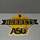 Rico Industries NCAA Shape Cut Pennant Shape Cut Pennant - Home and Living Room Décor - Soft Felt EZ to Hang