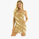 Women's Sequins Tassel Dance Costume Samba Rumba Tango Dance Dress 1920s Flapper Cocktail Party Dress Size S