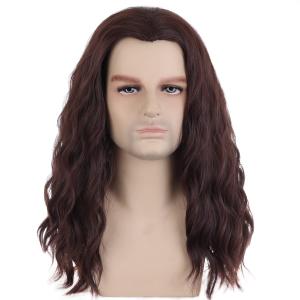 Mens Brown Wig Long Wavy Brown Male Wig Shoulder Length Unisex Wig Heat Resistant Synthetic Hair Cosplay Party Costume Wig