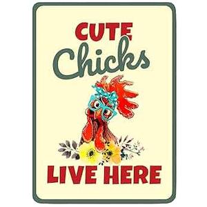 Chicken Coop Sign Do Not Make the Chickens Angry Vintage Metal Tin for Chicken Coop Home Yard Indoor Outdoor (Red)