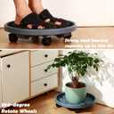 3 Pakcs Large Plant Caddy with Wheels 15.8" Rolling Plant Stands Heavy-duty Plastic Plant Roller Base Pot Movers Plant Saucer on Wheels Indoor Outdoor Plant Dolly with Caster Planter Tray Coaster Grey