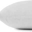 SNUG&COZY Luxury Goose Down Feather Pillow Inserts - 28x28IN, Double Layered Down-Proof Design, Ultra-Soft Cover, High Fill Weight, Pack of 1, White