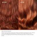 Olaplex N.4 Bond Maintenance Hair Strengthening Shampoo: Repairs Damage & Defend Against Future Breakage | Replenishes Hydration | For Coily, Curly, Straight, and Wavy