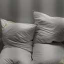 Premium Goose Down Pillows Standard Size - 700+ Fill Power, Down Pillow for Stomach Sleeper, 100% Cotton 500 TC Cover Down Pillow Standard Size Plush Pillow  20"x26"