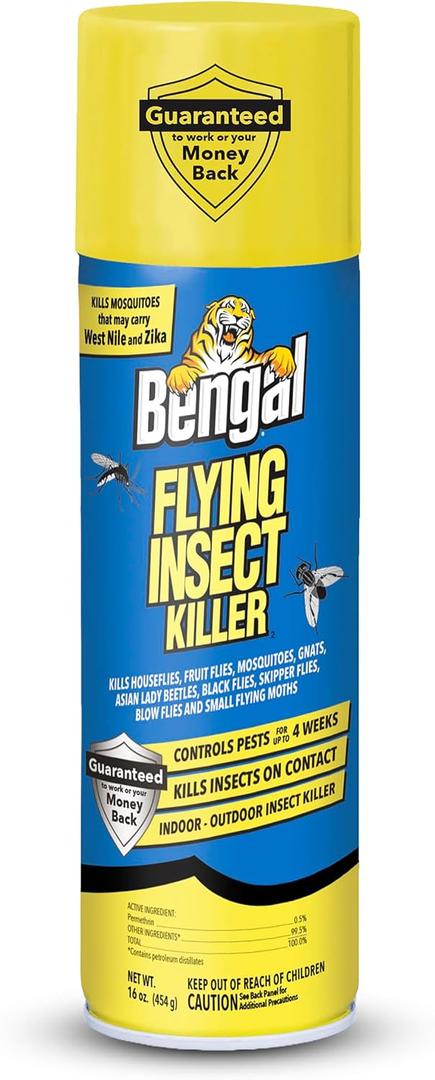 Bengal Flying Insect Killer - Indoor & Outdoor Aerosol Spray 16 oz | Kills Flies, Mosquitoes, Gnats and Fruit Flies - Works on Contact for Up to 4 Weeks - Odorless, Water-Based Formula