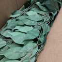 7ft Large Ficus Artificial Trees with Natural Curved Trunks, 84" Tall Lush Faux Tree for Home Decor Indoor, Green Lifelike Fake Ficus Tree Artificial Plants in Pot