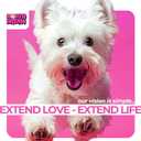 Hip & Joint Supplement for Dogs  Glucosamine, Chondroitin, MSM, Turmeric & Hemp Oil  Natural Mobility & Pain Relief Soft Chews  Beef Flavor  90 Count  Made in USA