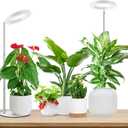 Aokrean Grow Lights for Indoor Plants, Full Spectrum Plant Lights for Indoor Growing, 9.8"-37.4" Height Adjustable Desk Grow Lamp with Auto Timer 6/12/16Hrs, 3 Optional Spectrums, 5 Brightness,2 Pack