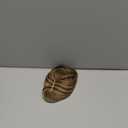 Flufymooz Real Human Hair Toppers for women, 10 Inch Clip in Bangs 100 Human Hair Toppers for Thinning Hair, Cover Hairpiece with 150% Density Silk Base-Chocolate Brown with Blonde