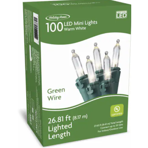 Holiday Home Indoor Outdoor 100 Green Wire LED Mini Christmas Lights - Warm White