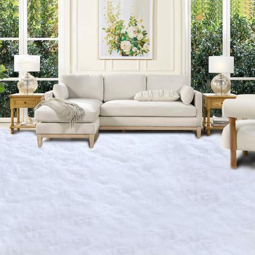 Area Rug 10x14 for Living Room: Large Shag Area Rugs for Living Room - Shaggy Fluffy Rug 10x14 Modern Indoor Shag Fuzzy Floor Carpet