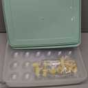 FACULX 3 Pack Deviled Egg Containers with Lid and 8 Pcs Deviled Egg Injector Piping Tool, Egg Organizer for Refrigerator, Fridge Stackable Countertop Portable Egg Platter (Green)