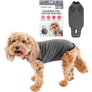 BellyGuard Recovery Suit for Dogs, Comfy Dog Surgery Suit, Female Spay and Male Neuter Onesie for Post-Op Care (Small, Grey)
