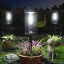 ALFIOT Solar Pathway Lights Outdoor, 6 Pack Bright Solar Lights Outdoor, Auto On/Off, IP65 Waterproof Solar Garden Lights Solar Powered Landscape Lighting for Yard Patio Walkway Driveway Pathway (Cool White (Cuboid))