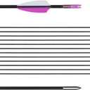 LWANO 31" Training Arrows-Archery Practice Target Arrows for Kids Youth or Beginners with Durable Shaft on Recurve Bow Compound Bow and Longbow (Purple)