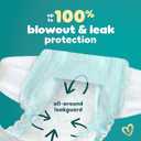 Pampers Swaddlers Diapers, Size 7 (2650 lbs), 88 Count, Absorbent, Keeps Baby Dry and Comfortable, Skin Safe Disposable Baby Diaper