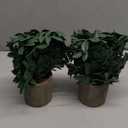 2 Pack Small Fake Plants Potted Artificial Herb Plants for Shelf Desk Home Bathroom Farmhouse Room Coffee Table Decor (Gray Green)