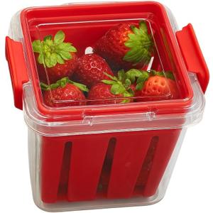 Home & Style Produce Storage Container with Colander  Rinse, Drain & Keep Fruits Fresh  BPA-Free Fridge Fruit Saver with Lid  Ideal for Strawberries, Blueberries & Vegetables